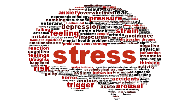Stress management expert